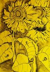Sonnenblume Tuschezeichnung mit dem Titel „Sonnenblume“